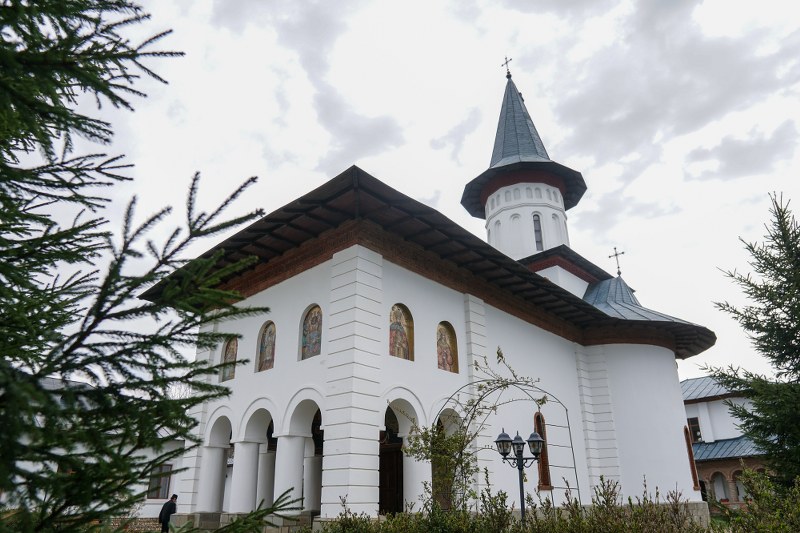 21_800x533.jpg