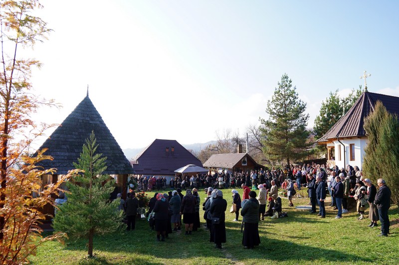 12_800x533.jpg
