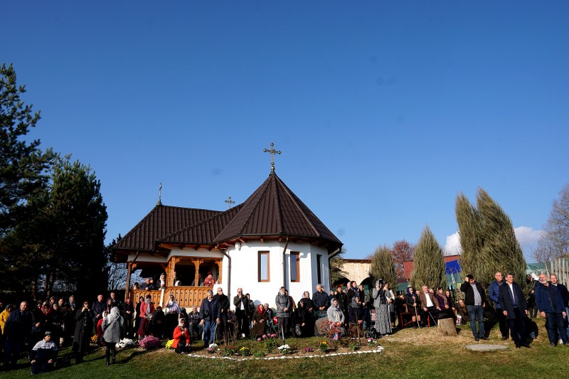 9_800x533.jpg