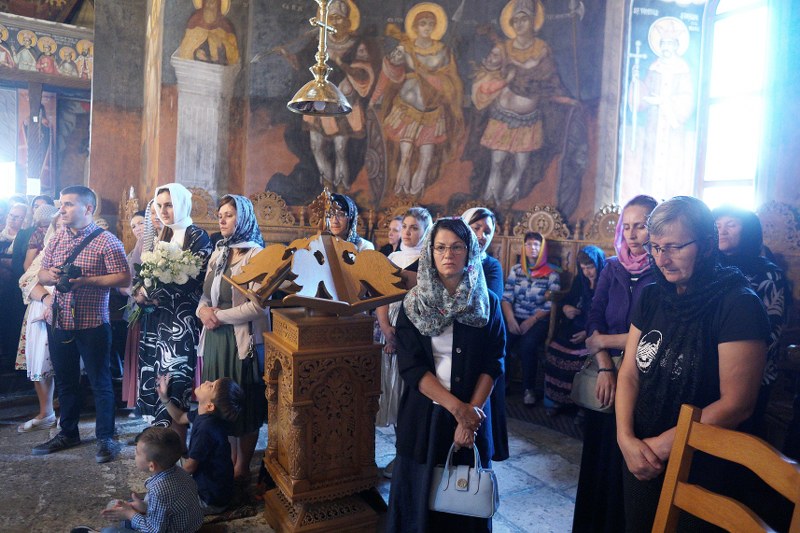 11_800x533.jpg