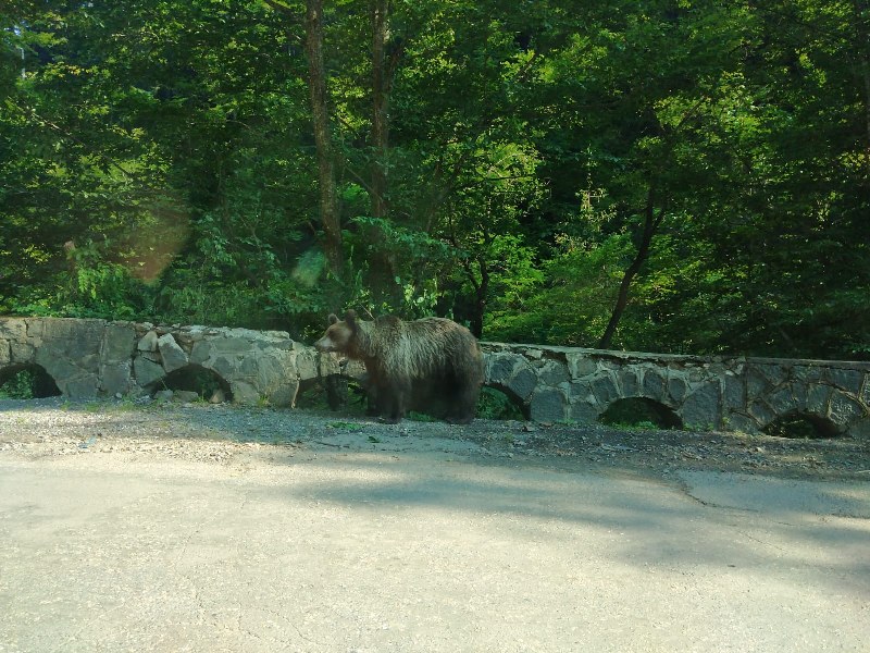 IMG-20230711-WA0005_800x600.jpg