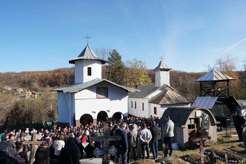 1_800x533.jpg