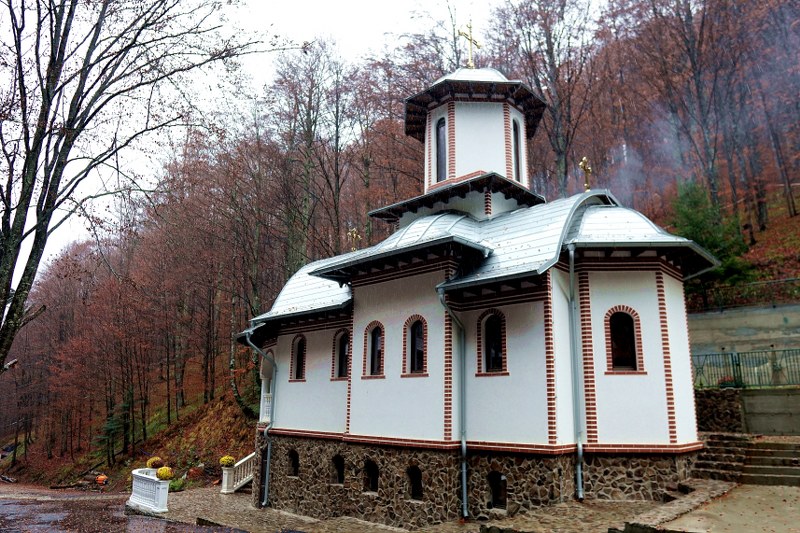 1_800x533.jpg